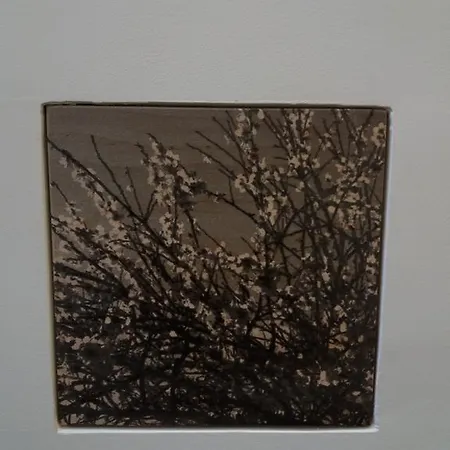 Casa Majore アパート