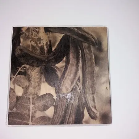 Casa Majore アパート *