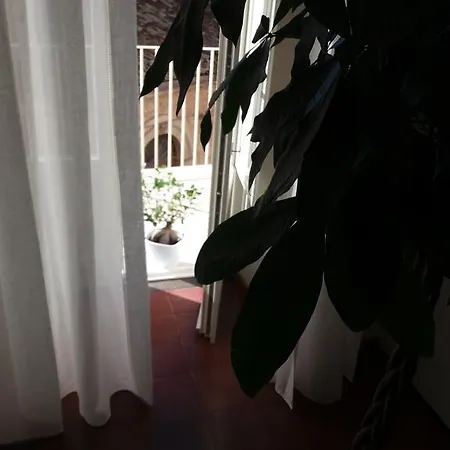 Appartement Casa Majore