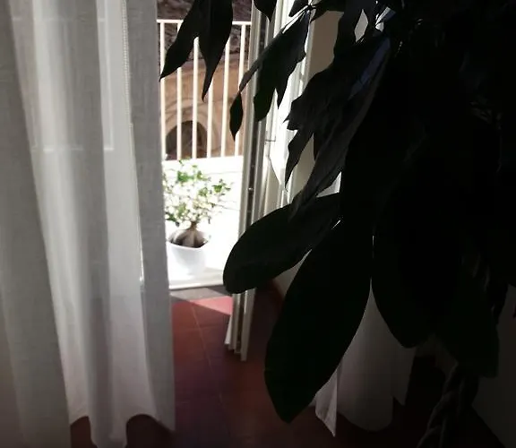 Daire Casa Majore
